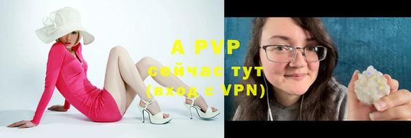 ГАЛЛЮЦИНОГЕННЫЕ ГРИБЫ Белая Холуница