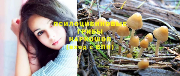 ГАЛЛЮЦИНОГЕННЫЕ ГРИБЫ Белая Холуница