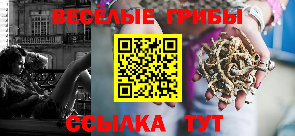 Советск  Псилоцибиновые грибы мицелий  Вход с VPN 